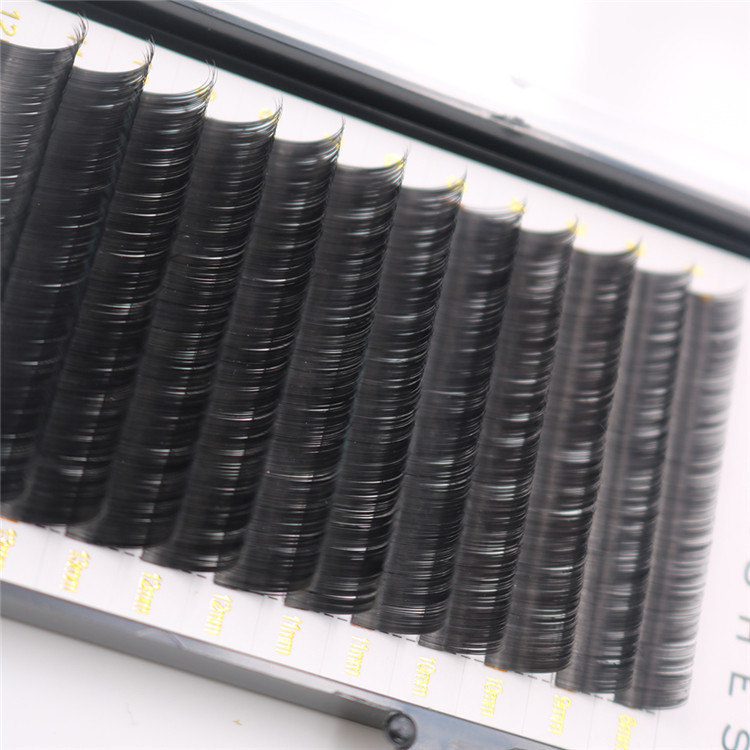 Best korean ellipse flat eyelash extensions wholesale - A