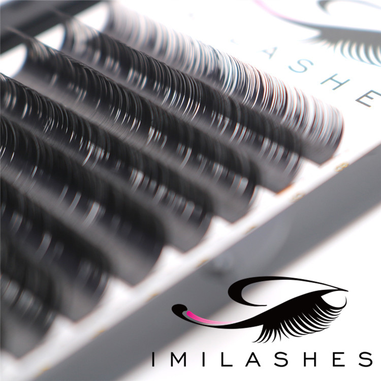 Professional volume lash extensions supplier-V