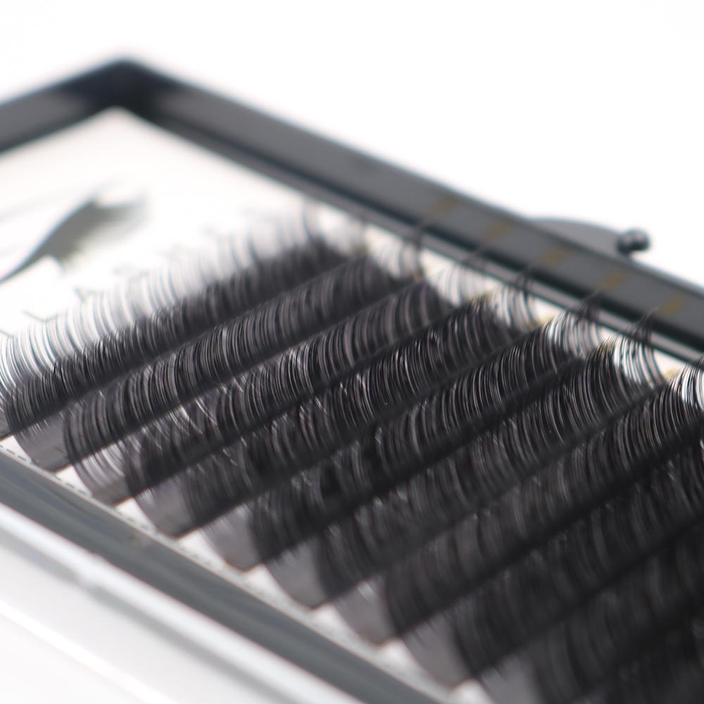 Heat bonded Korean PBT material eyelash extension supplier in China-L