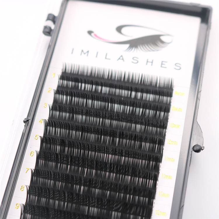 Top quality individual lash extensions supply-V