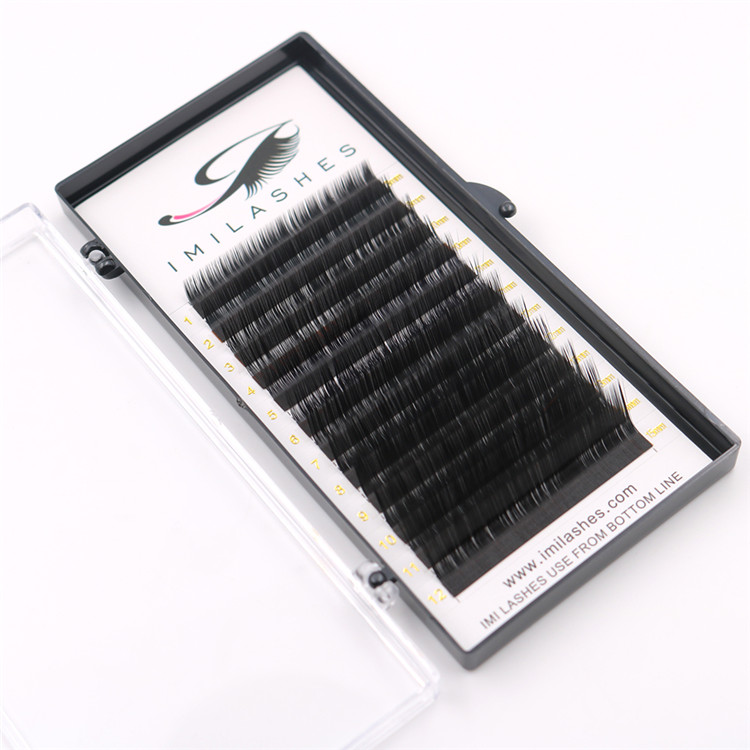 Private label 0.07M individual volume eyelash extensions supplier-L