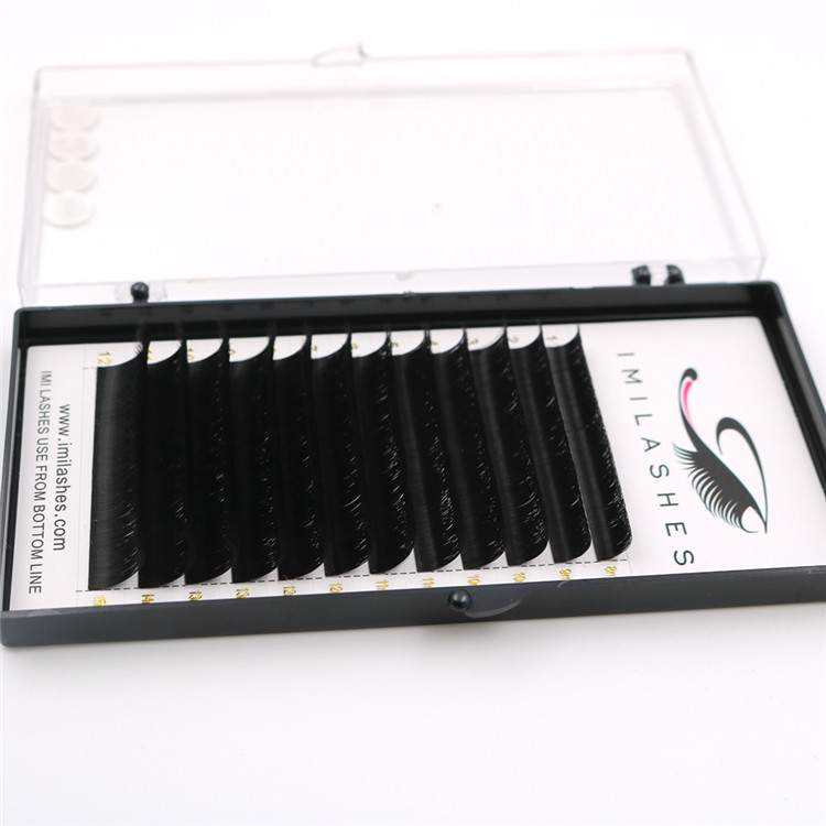 kiss-brand-eyelashes.JPG