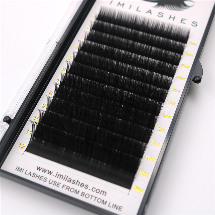 wholesale-volume-lashes.JPG