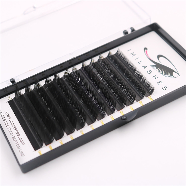 Private label 0.07M individual volume eyelash extensions supplier-L