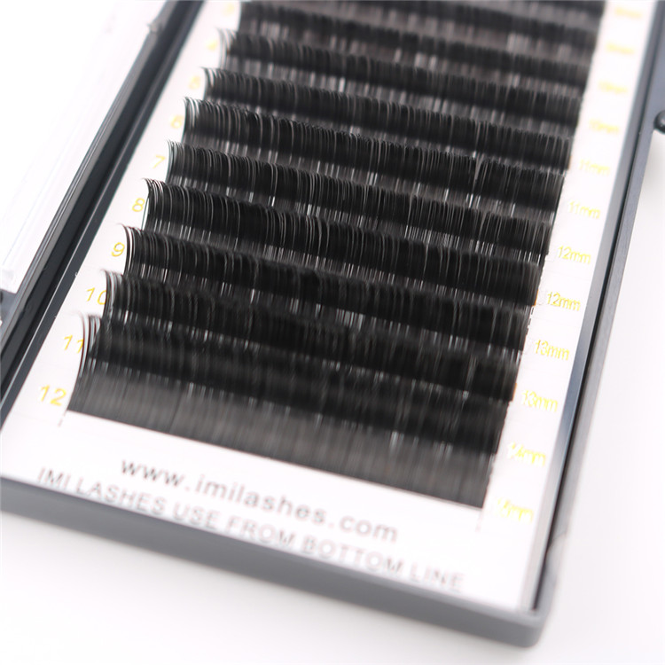 Wholesale eyelashes suppliers, China Eyelash extensions factory-L